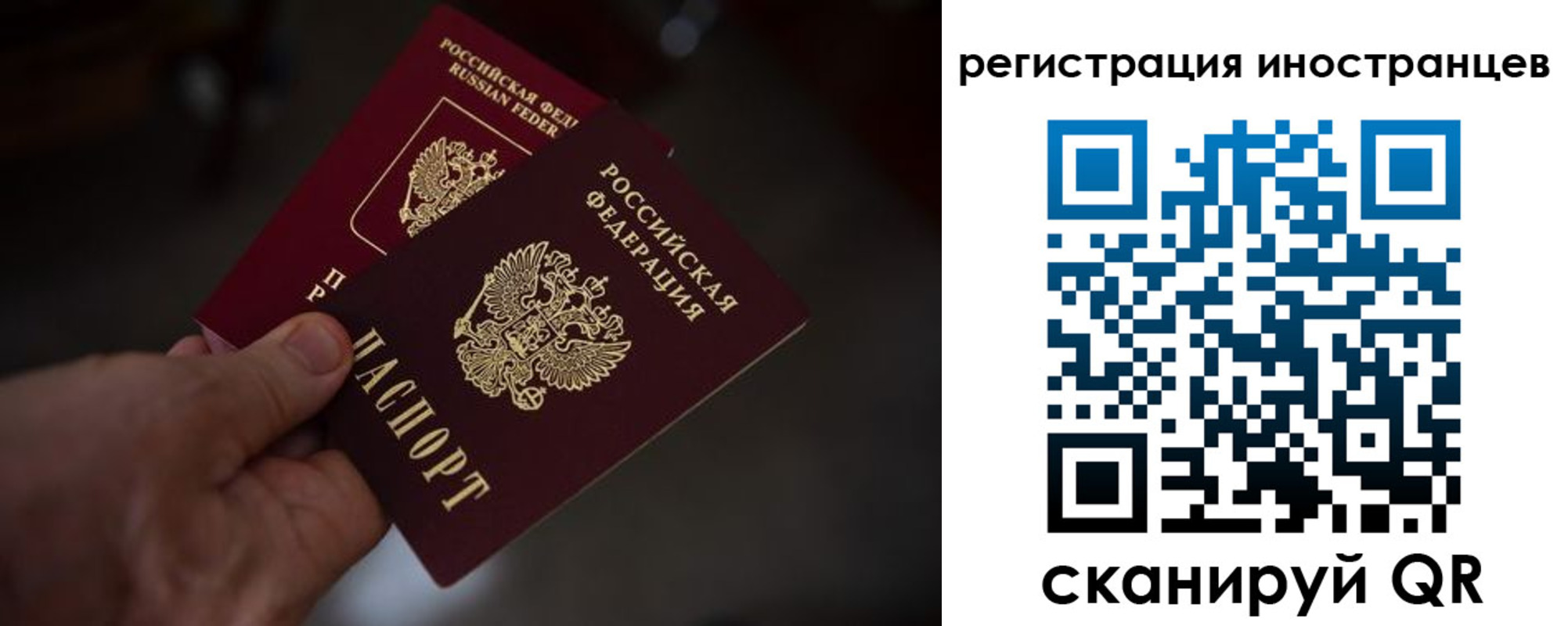 прописка поиск в Клине
